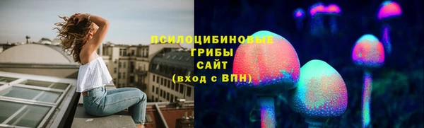 jwh Новозыбков