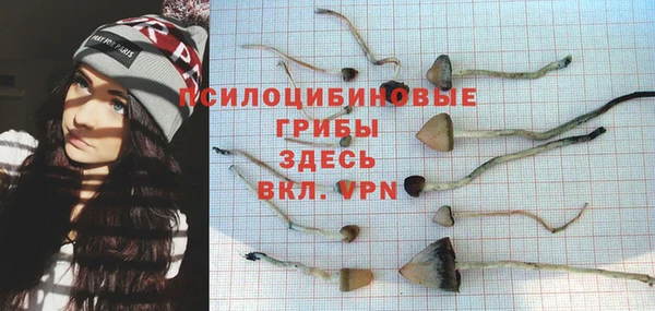 спиды Няндома