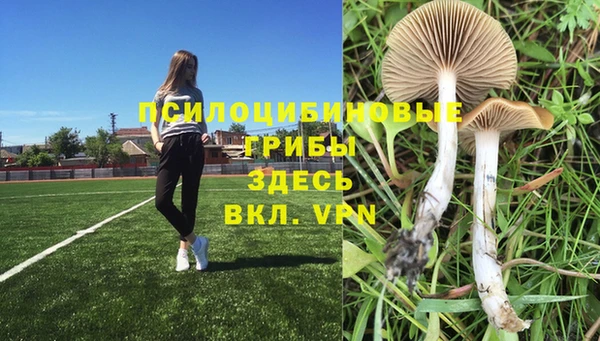 мяу мяу мука Нязепетровск