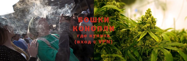 ECSTASY Новодвинск