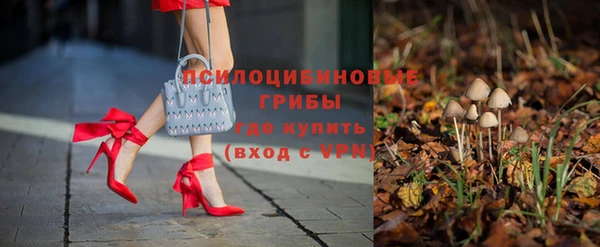 ECSTASY Новодвинск